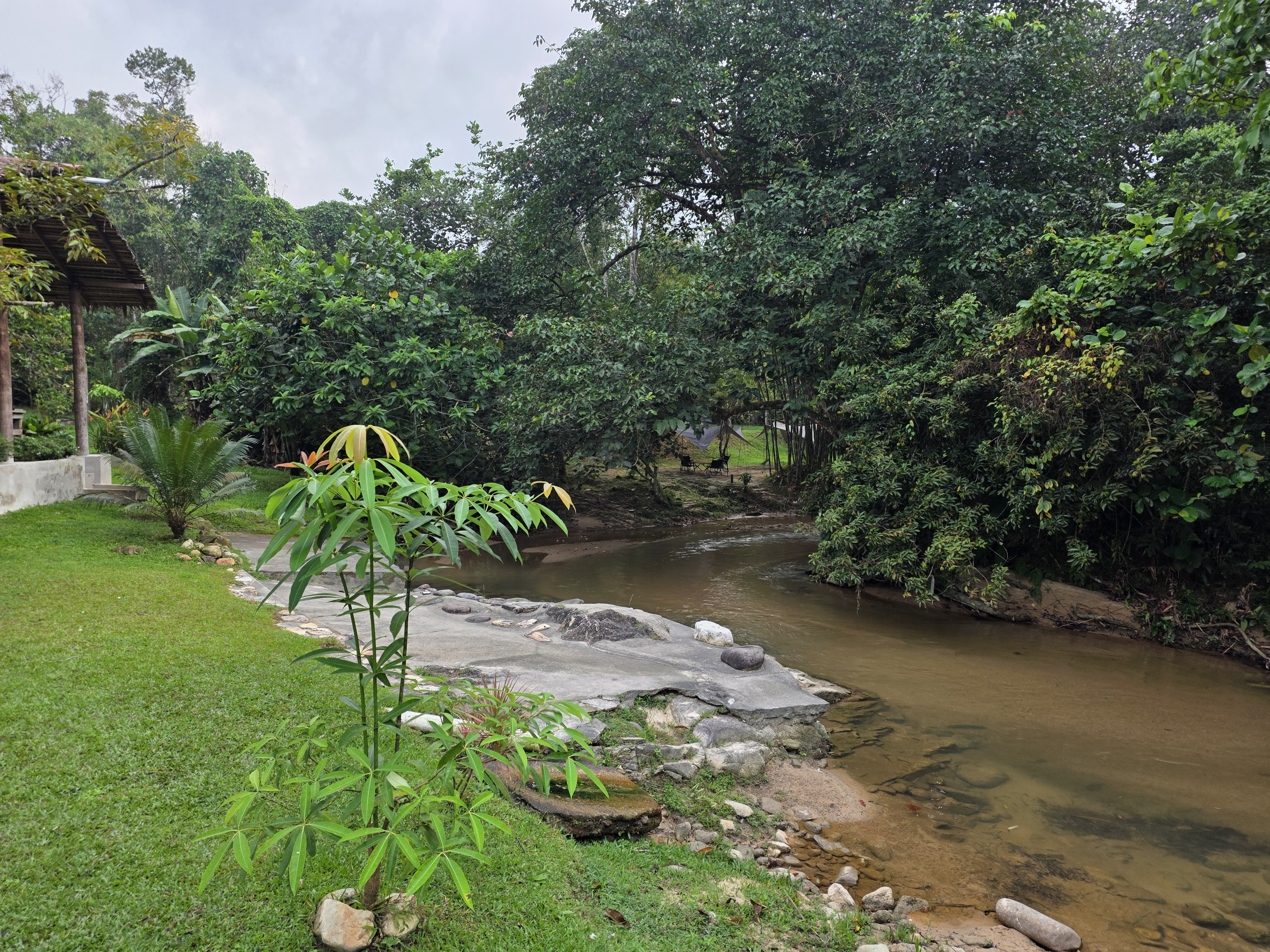 A peaceful stream at the orchard